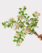 Osmanthus Faux Flower Stem - 28"