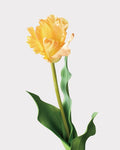 Parrot Series Tulip Faux Flower - 22.8