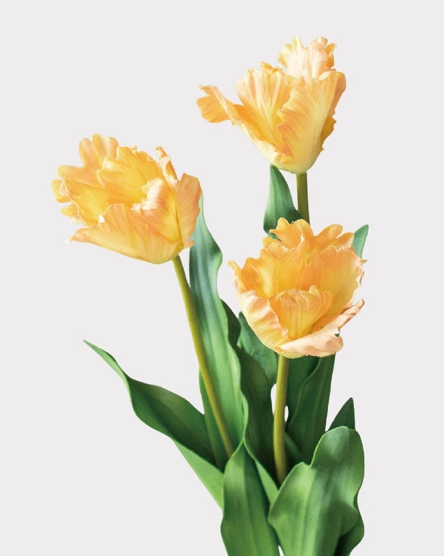 Parrot Series Tulip Faux Flower - 22.8