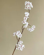 Pear Blossom Faux Branch - 35"