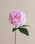 Peony Faux Flower in Purple - 14"