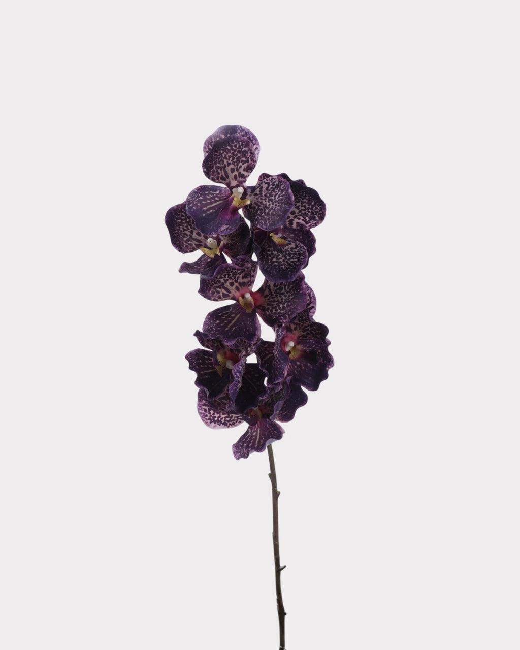 Phalaenopsis Orchid Faux Flower Stem – 32.1"