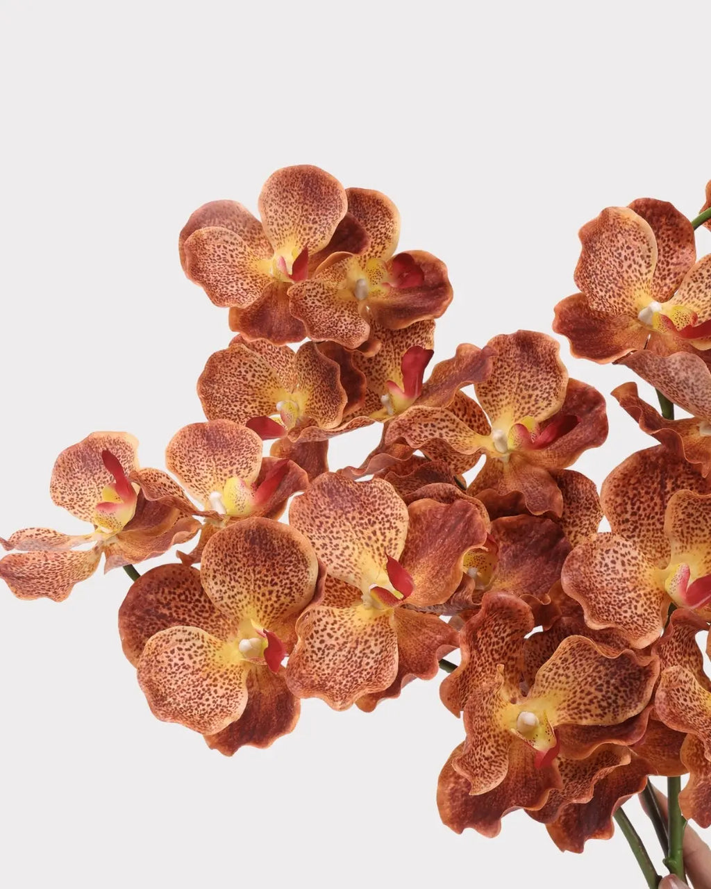 Phalaenopsis Orchid Faux Flower Stem – 32.1"