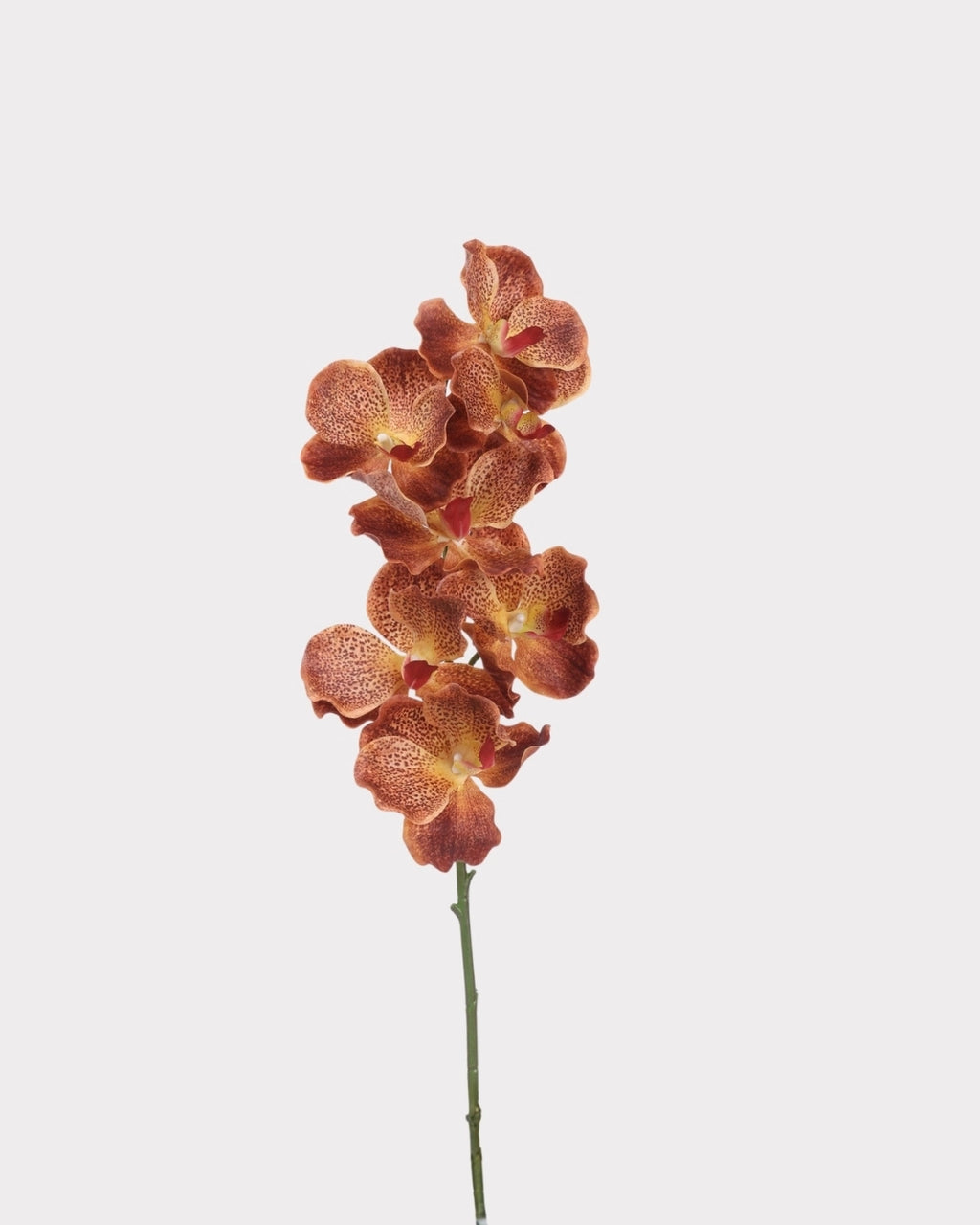 Phalaenopsis Orchid Faux Flower Stem – 32.1"