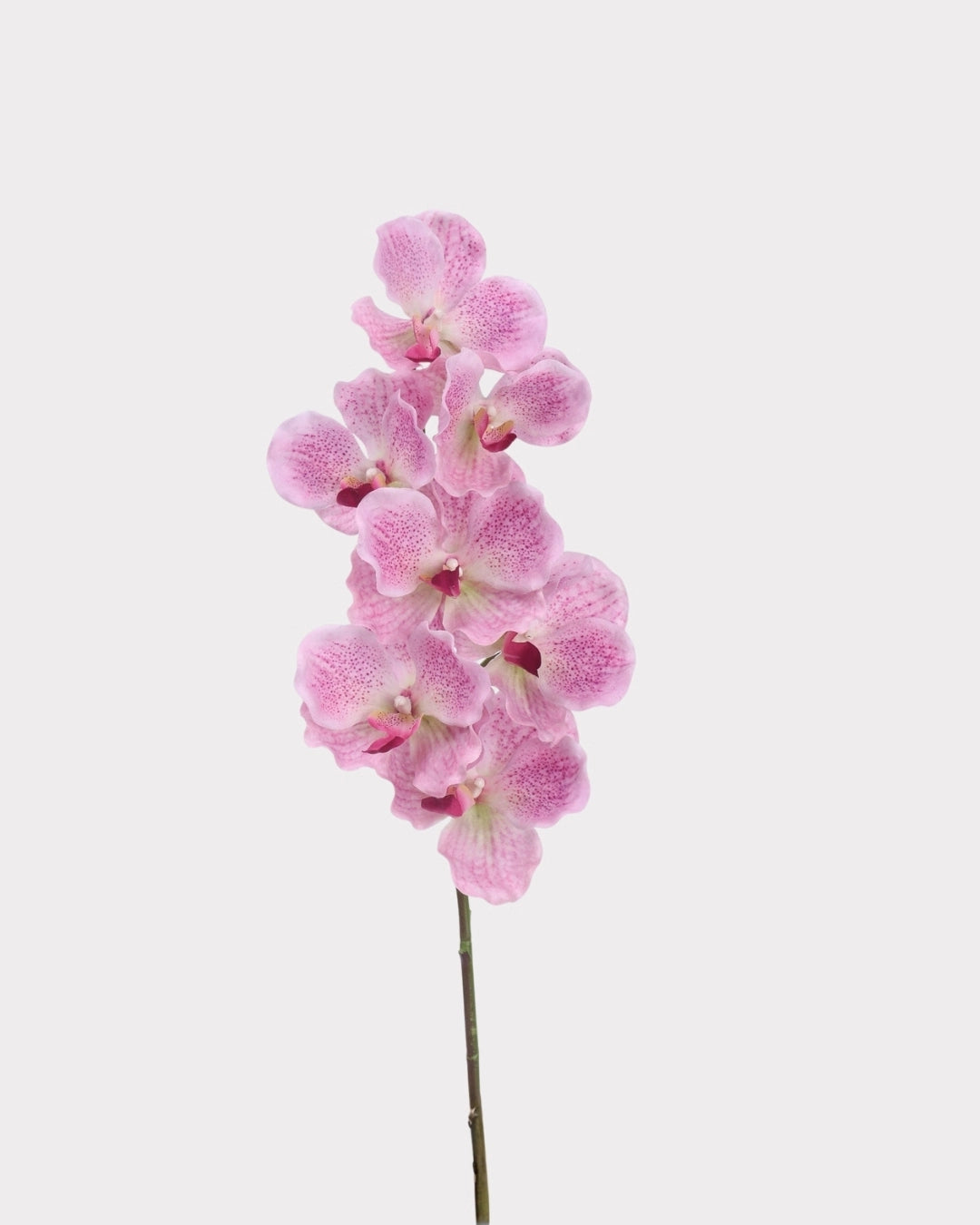 Phalaenopsis Orchid Faux Flower Stem – 32.1"
