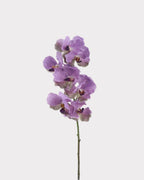 Phalaenopsis Orchid Faux Flower Stem – 32.1"