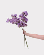 Phalaenopsis Orchid Faux Flower Stem – 32.1"