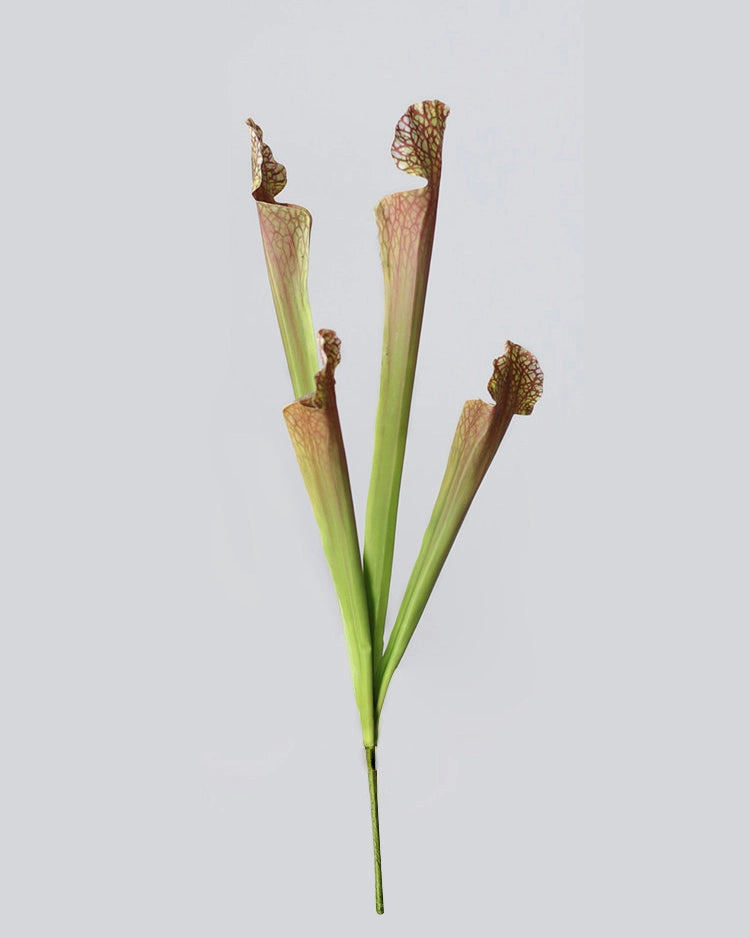 Pitcher Plant Faux Foliage - 17.5"