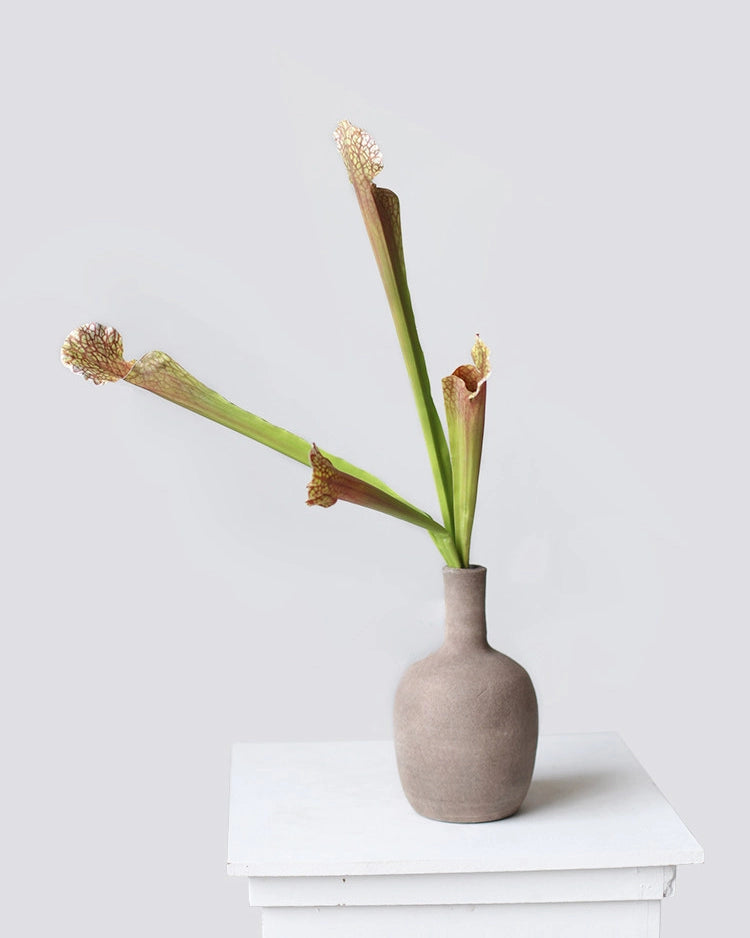 Pitcher Plant Faux Foliage - 17.5"