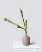 Pitcher Plant Faux Foliage - 17.5"