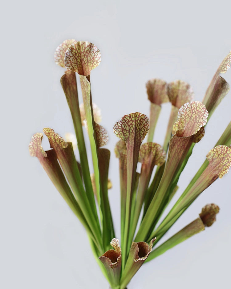 Pitcher Plant Faux Foliage - 17.5"