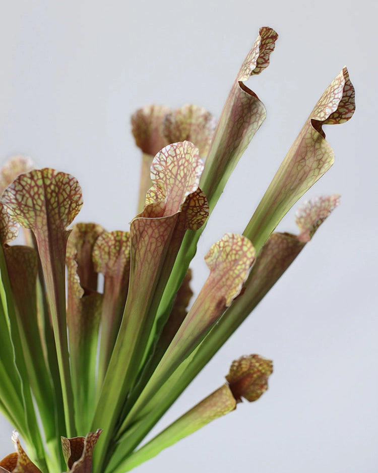 Pitcher Plant Faux Foliage - 17.5"