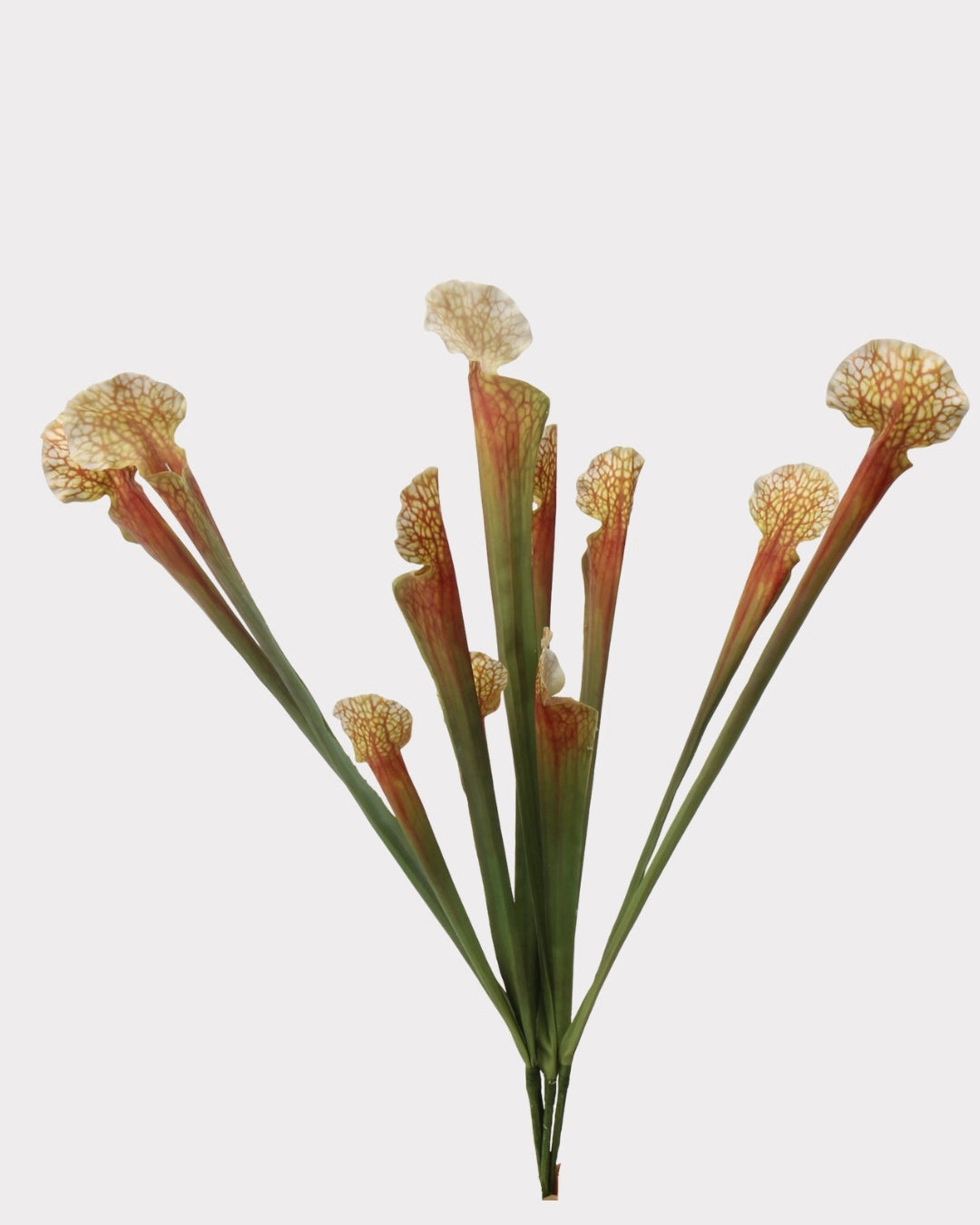 Pitcher Plant Faux Foliage in Orange