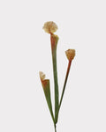 Pitcher Plant Faux Foliage in Orange