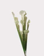 Pitcher Plant Faux Foliage in White
