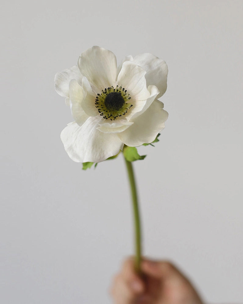Real Touch Artificial Anemone Stem 15"