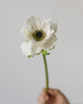 Real Touch Artificial Anemone Stem 15"