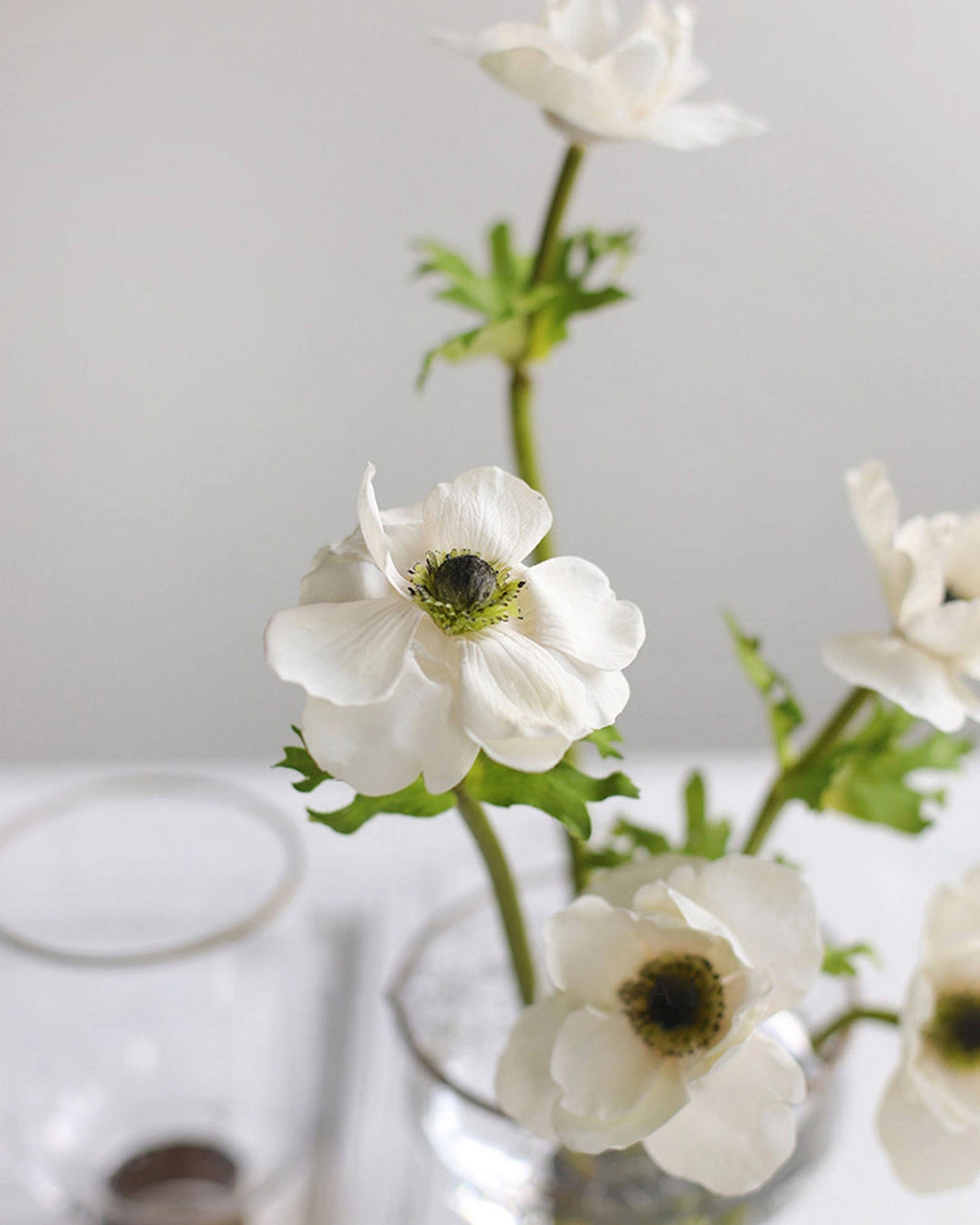 Real Touch Artificial Anemone Stem 15"