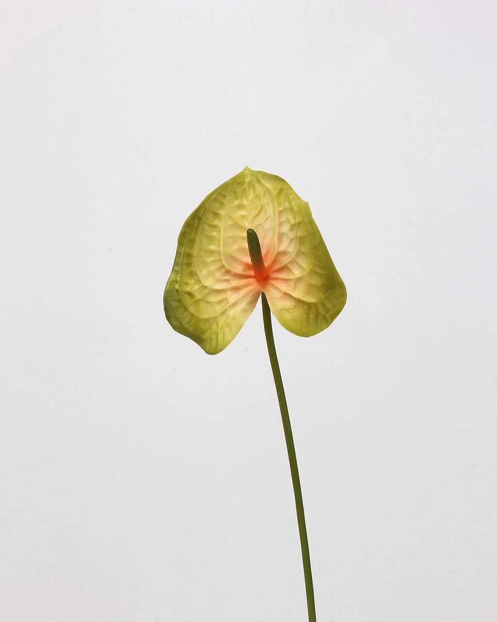 Real Touch Artificial Heart-Shaped Anthurium Stem 23"