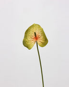 Real Touch Artificial Heart-Shaped Anthurium Stem 23"
