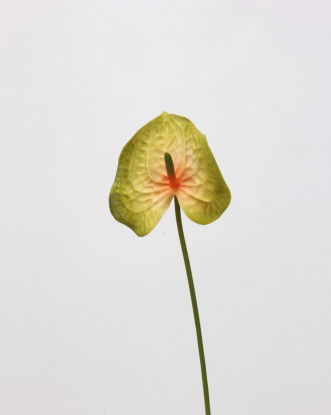 Real Touch Artificial Heart-Shaped Anthurium Stem 23"