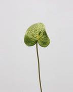 Real Touch Artificial Heart-Shaped Anthurium Stem 23"