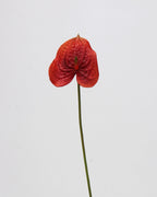 Real Touch Artificial Heart-Shaped Anthurium Stem 23"