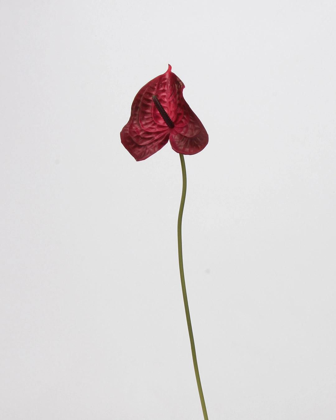 Real Touch Artificial Heart-Shaped Anthurium Stem 23"