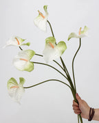 Real Touch Artificial Heart-Shaped Anthurium Stem 23"