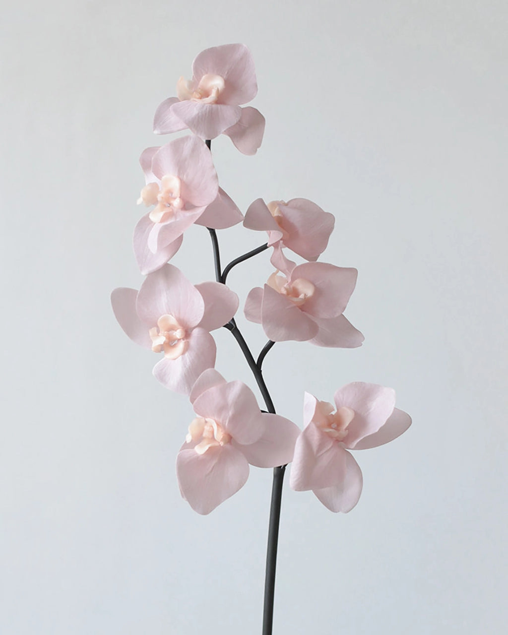 Real Touch Artificial Phalaenopsis Orchid 25"