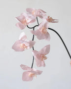 Real Touch Artificial Phalaenopsis Orchid 25"