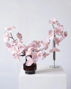 Real Touch Artificial Phalaenopsis Orchid 25"