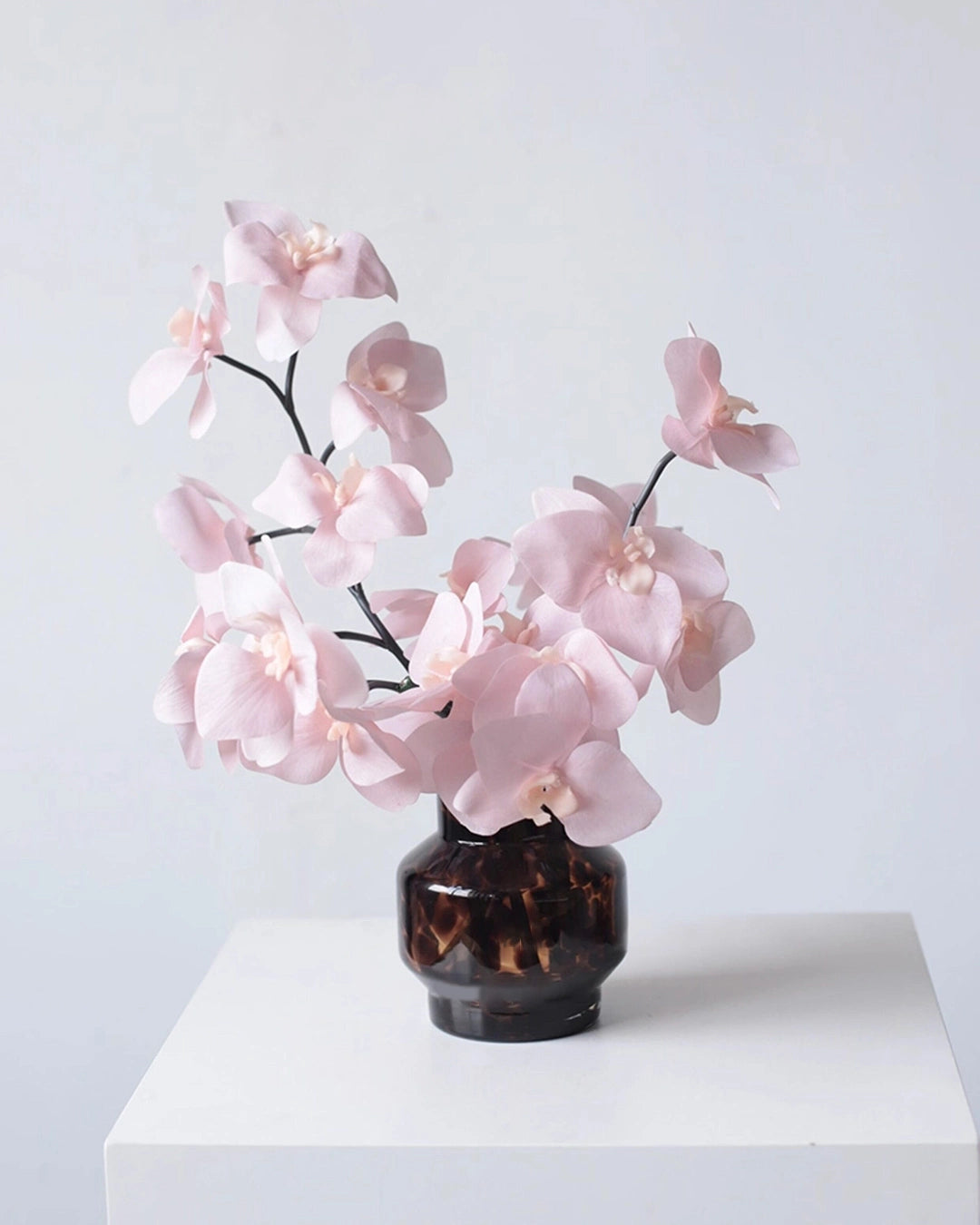 Real Touch Artificial Phalaenopsis Orchid 25"