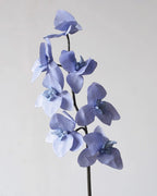 Real Touch Artificial Phalaenopsis Orchid 25"