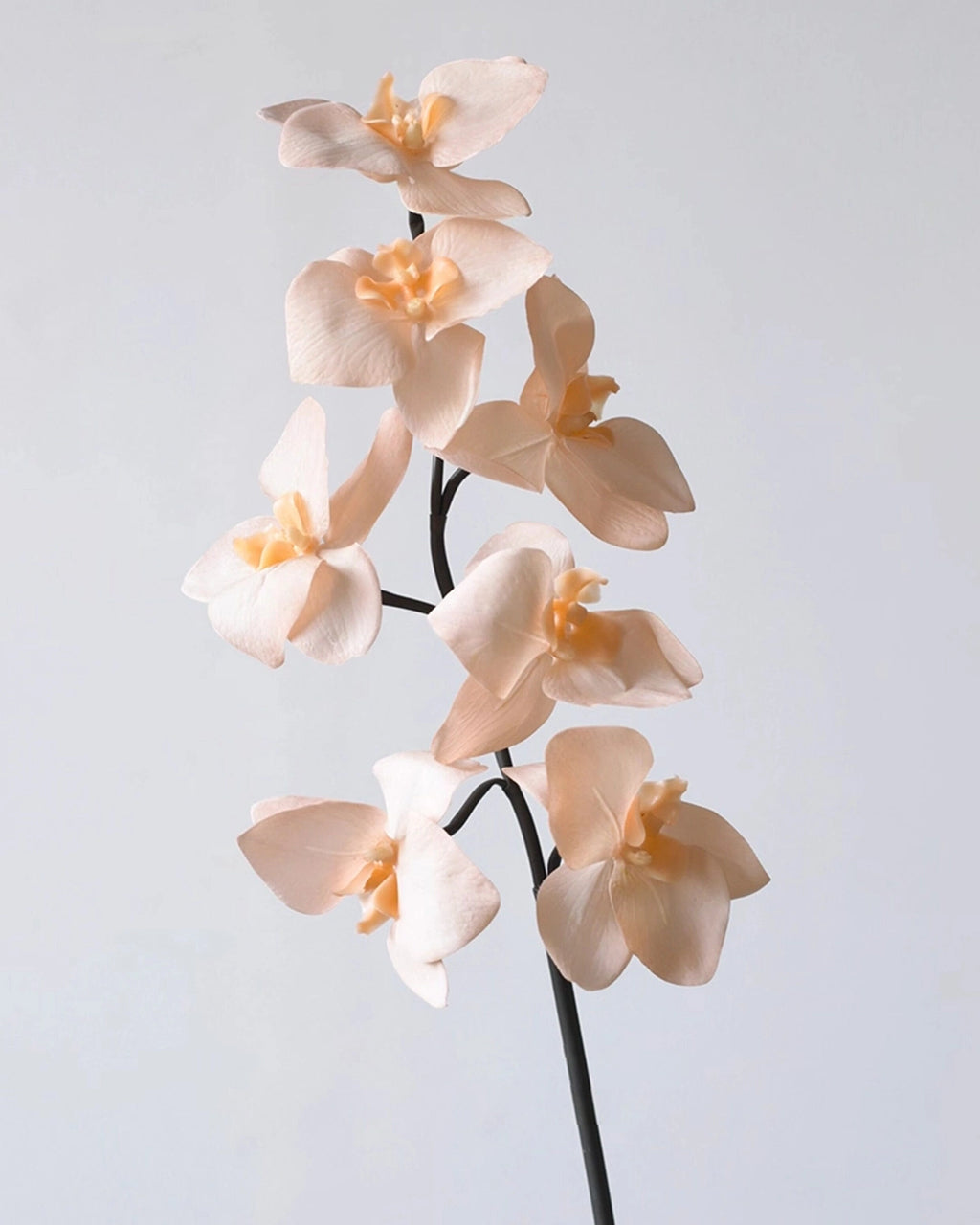 Real Touch Artificial Phalaenopsis Orchid 25"
