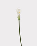 Real Touch Calla Lily Faux Flower - 24.4"