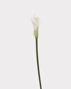 Real Touch Calla Lily Faux Flower - 24.4"