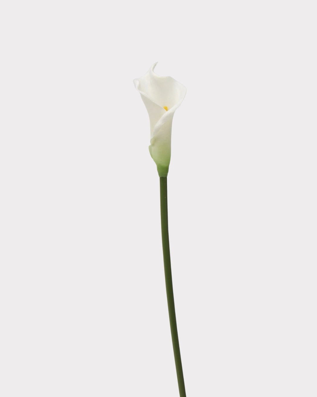 Real Touch Calla Lily Faux Flower - 24.4"