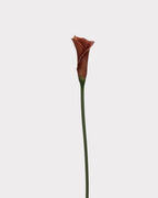 Real Touch Calla Lily Faux Flower - 24.4"