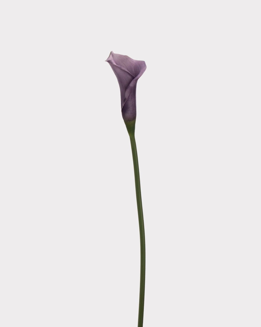 Real Touch Calla Lily Faux Flower - 24.4"