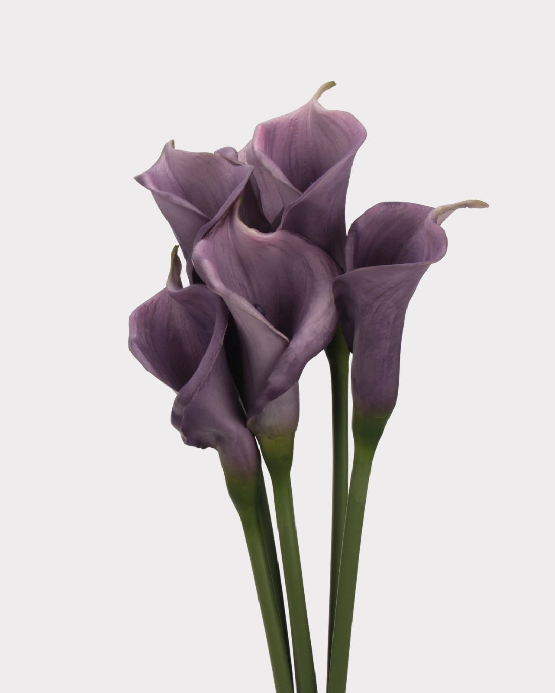 Real Touch Calla Lily Faux Flower - 24.4"