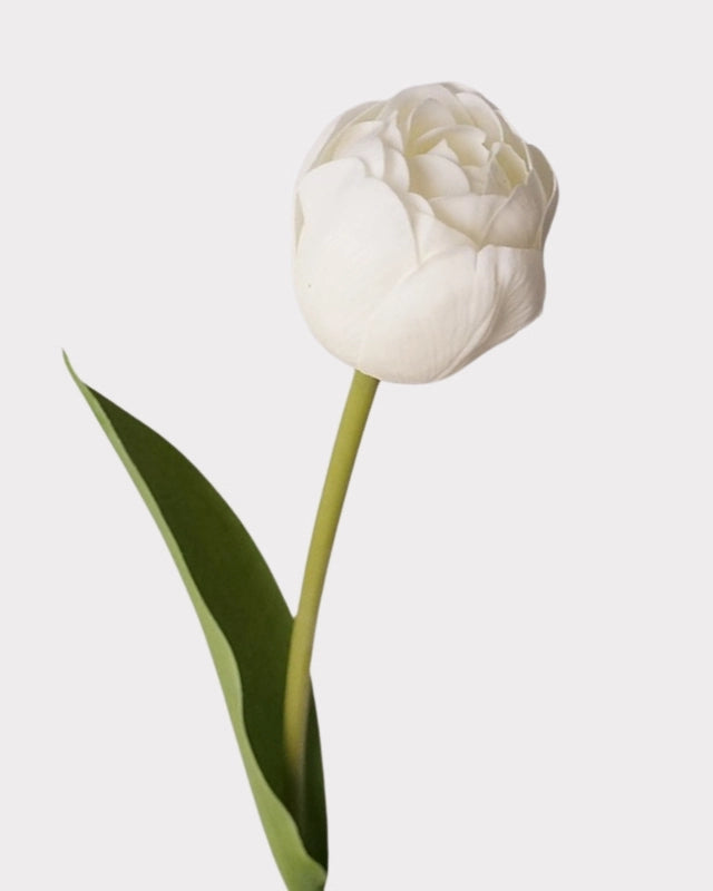 Real Touch Camellia Tulip Faux Flower - 18"