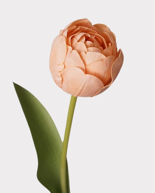 Real Touch Camellia Tulip Faux Flower - 18"