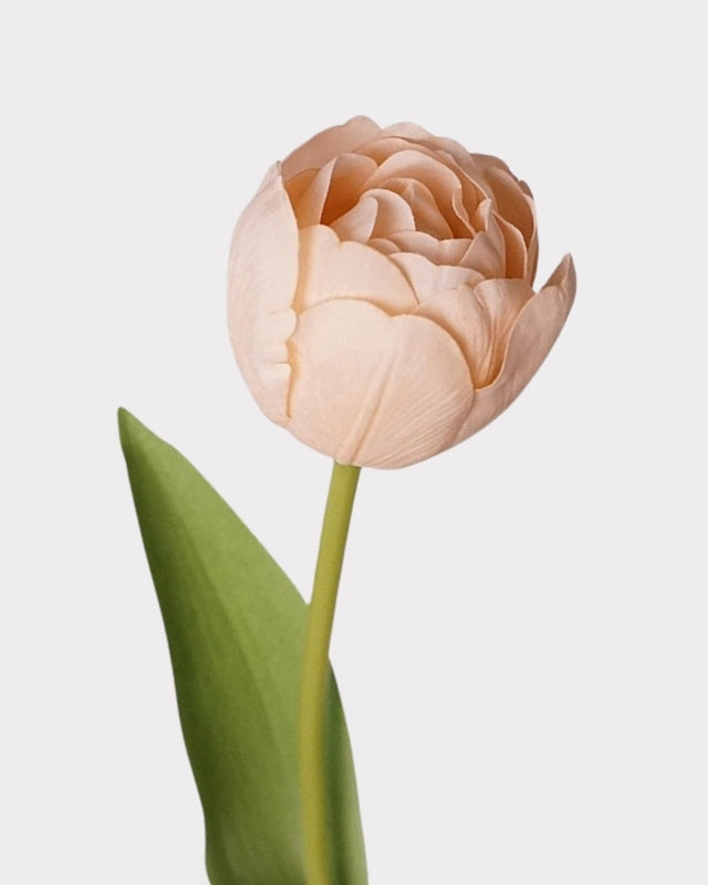 Real Touch Camellia Tulip Faux Flower - 18"