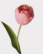 Real Touch Camellia Tulip Faux Flower - 18"