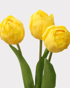 Real Touch Camellia Tulip Faux Flower - 18"