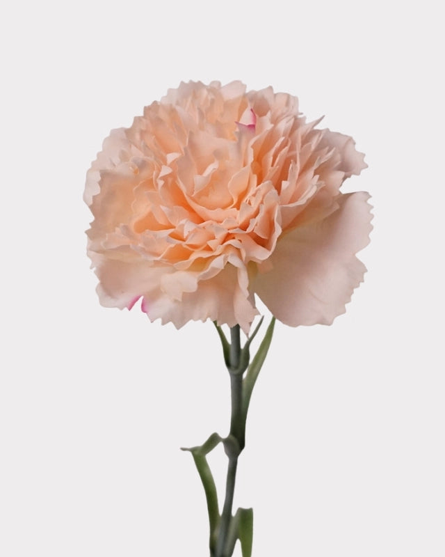 Real Touch Carnation Faux Flower - 20"