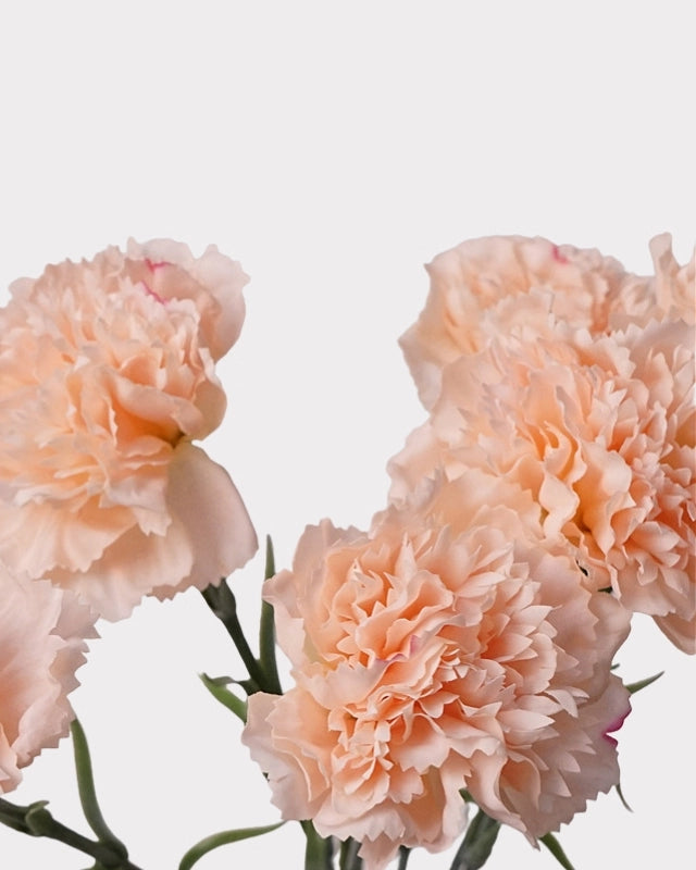 Real Touch Carnation Faux Flower - 20"