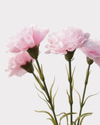 Real Touch Carnation Faux Flower - 20"