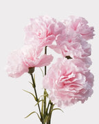 Real Touch Carnation Faux Flower - 20"